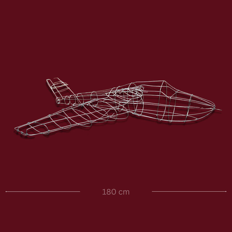 Airplane Created for a corporation based in Cluj-Napoca