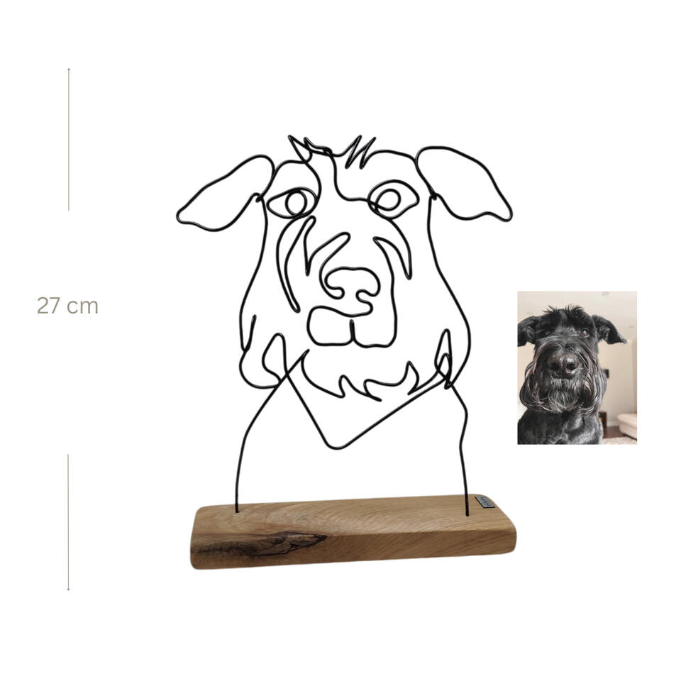Dog Dog